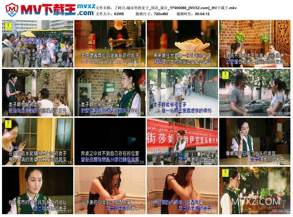 了阿月-城市里的麦子_国语_流行_YF900089